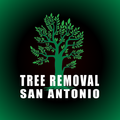 Prompt, professional tree removal team in San Antonio.