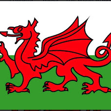 welsh dragon