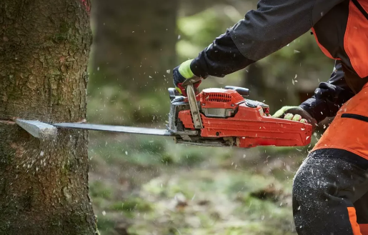 Tree-Surgery-South-London