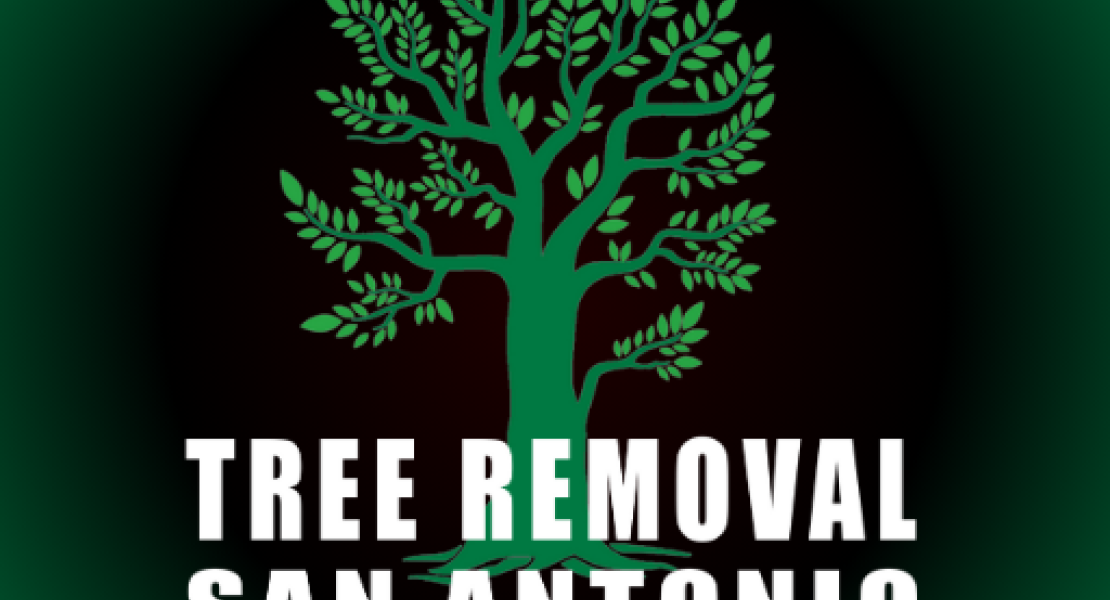 Prompt, professional tree removal team in San Antonio.