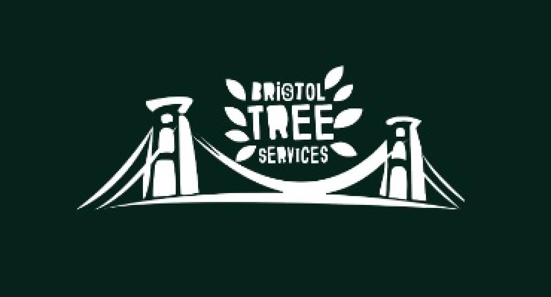 Tree surgery services