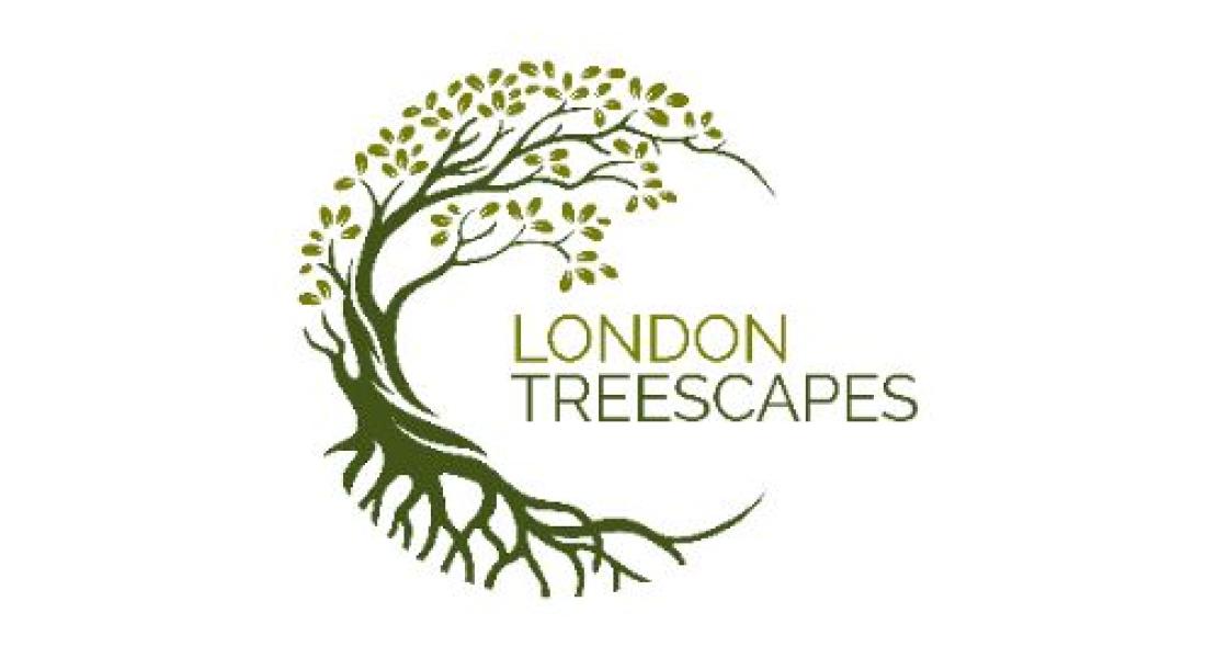 Tree-Surgery-South-London